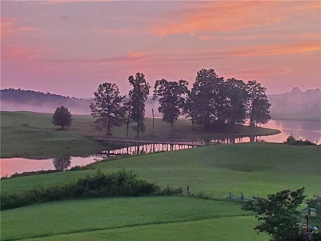 486 Gold Bullion Dr E, Dawsonville, GA 30534 - view of property's community featuring a water view and a yard