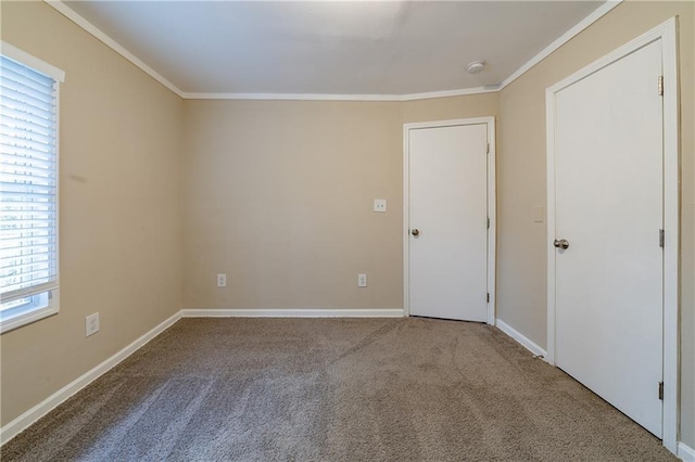 spare room with crown molding and carpet flooring