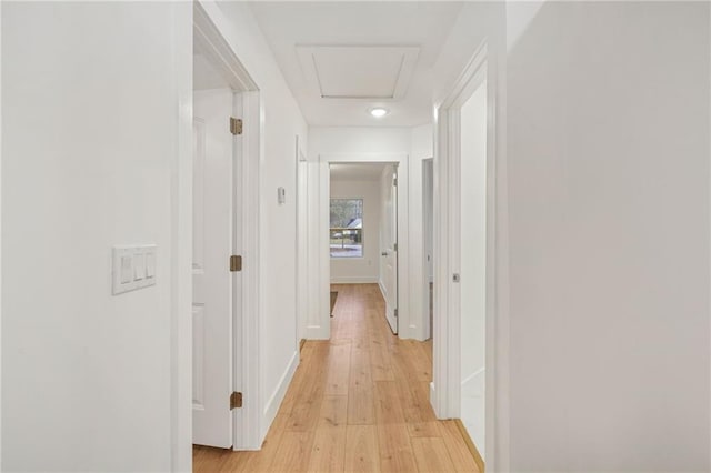 hallway featuring light hardwood / wood-style floors