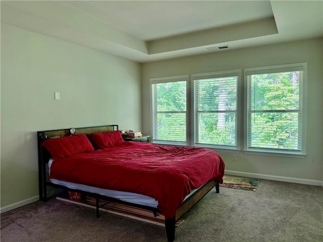 1452 Ridgebend Way SE, Mableton, GA 30126 - bedroom featuring carpet floors and a raised ceiling