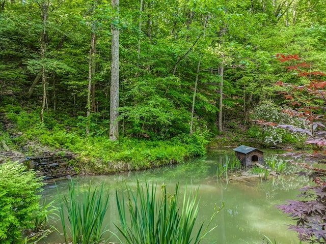 view of water feature