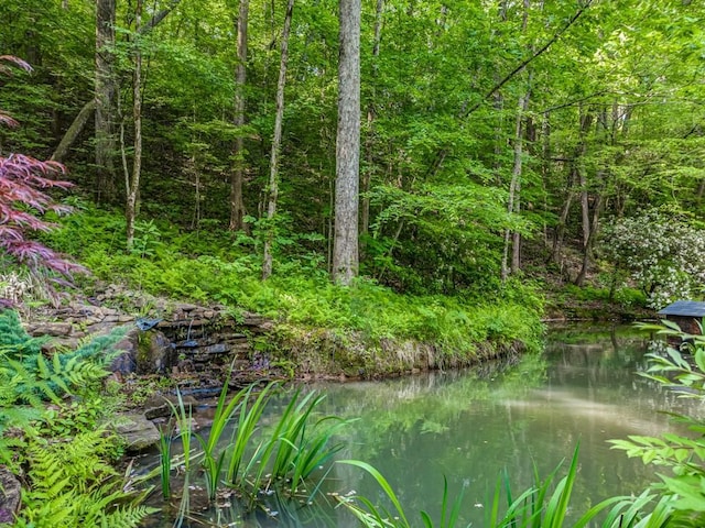 view of landscape featuring a water view