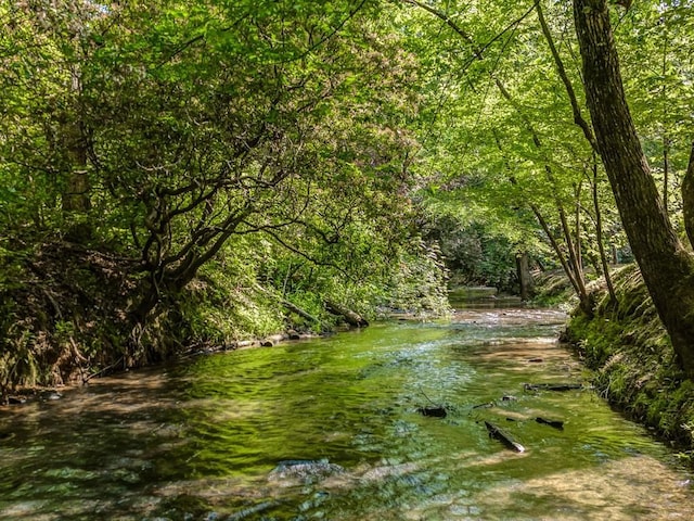 view of local wilderness