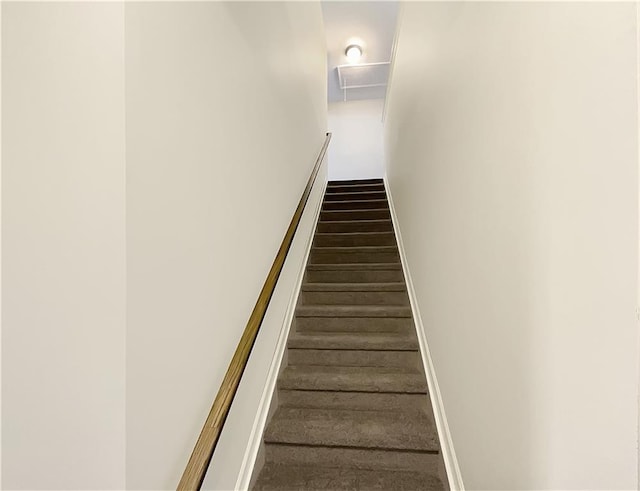 staircase featuring hardwood / wood-style flooring