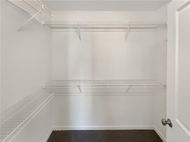 view of walk in closet