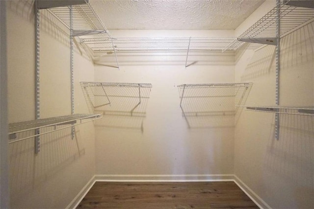 walk in closet with wood finished floors