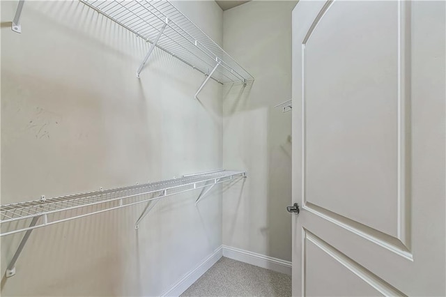 spacious closet featuring carpet floors