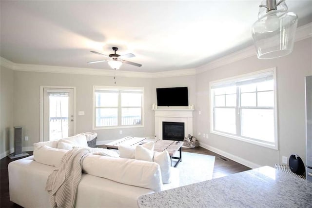 1420 Baygreen Rd, Suwanee, GA 30024 - living area featuring crown molding, dark wood-style flooring, ceiling fan, a glass covered fireplace, and baseboards