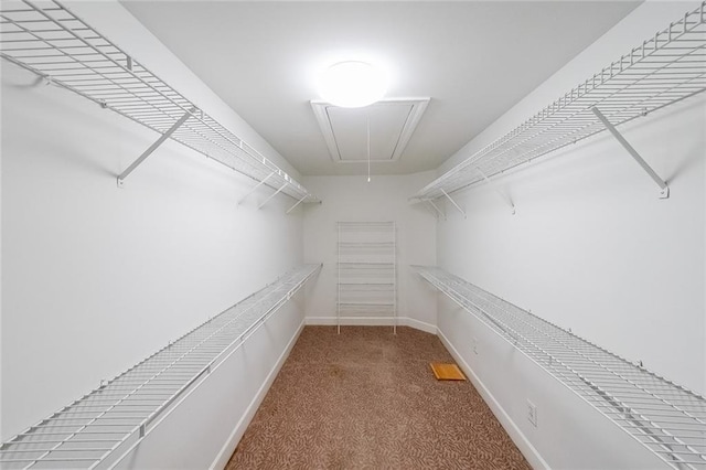 spacious closet with carpet floors