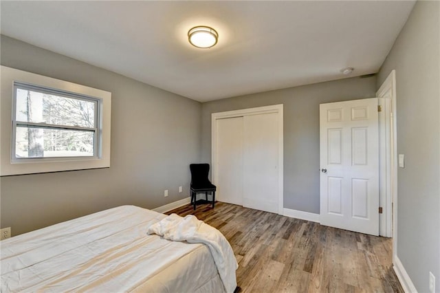 bedroom featuring hardwood / wood-style flooring and a closet