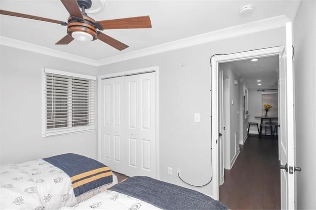 bedroom with ceiling fan, a closet, dark hardwood / wood-style floors, and crown molding