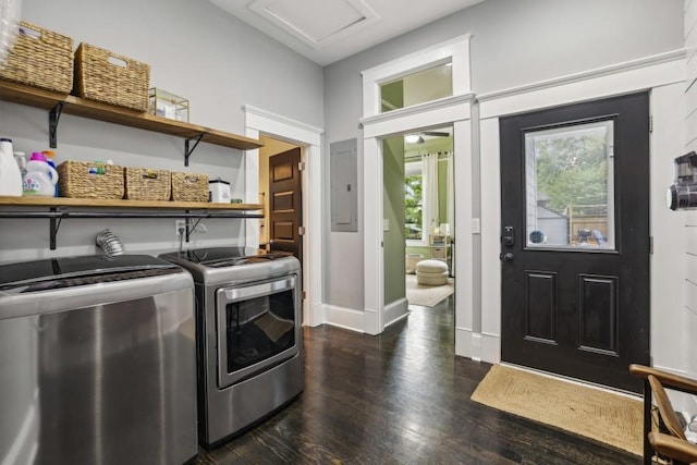 clothes washing area with washer and clothes dryer, dark wood-style floors, electric panel, and baseboards