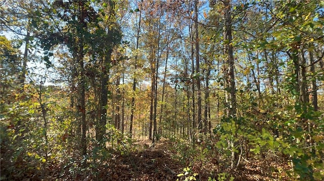 3412 Kinsley Ct, Conyers, GA 30094