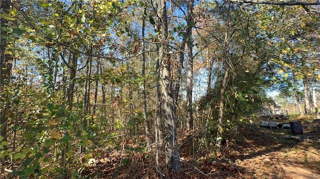 3412 Kinsley Ct, Conyers, GA 30094