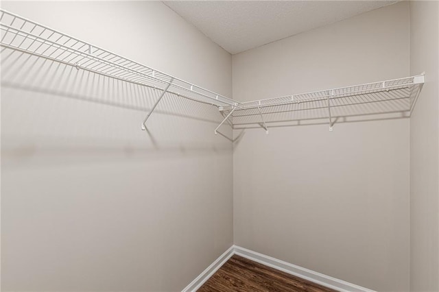 105 Kentwood Springs Dr, Hampton, GA 30228 - walk in closet featuring dark wood-style flooring