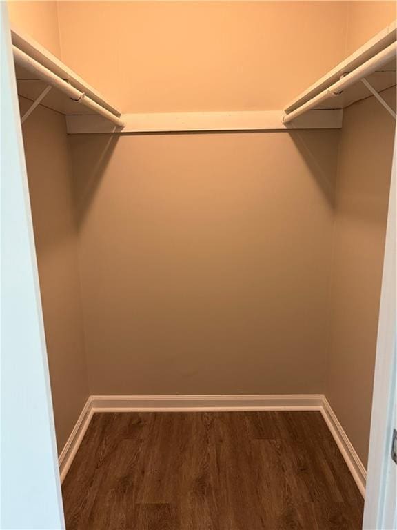 6103 Chaseland Dr, Rex, GA 30273 - walk in closet with dark wood-type flooring