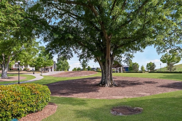 1976 Boyd Trace Ln NW, Atlanta, GA 30318 - view of home's community featuring a lawn