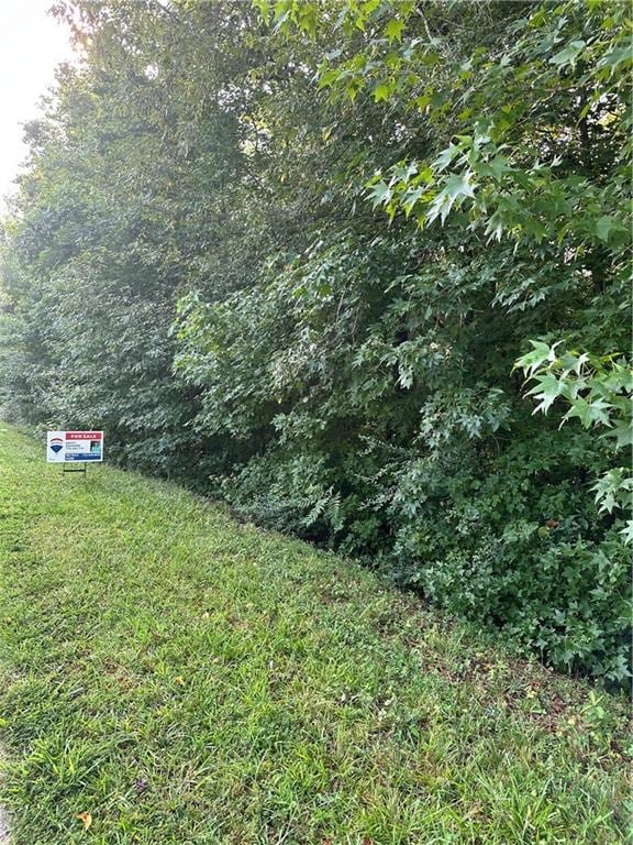 279 Lakeridge Dr, Temple GA, 30179 land for sale