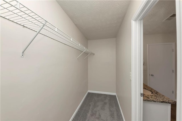 spacious closet with carpet