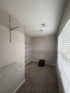 215 Bradley St, Covington, GA 30016 - view of spacious closet