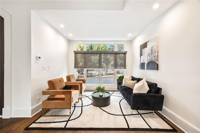 living room with wood-type flooring