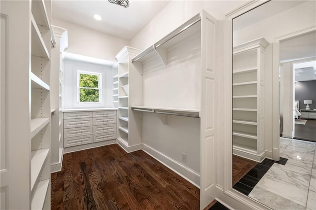 spacious closet featuring dark hardwood / wood-style floors