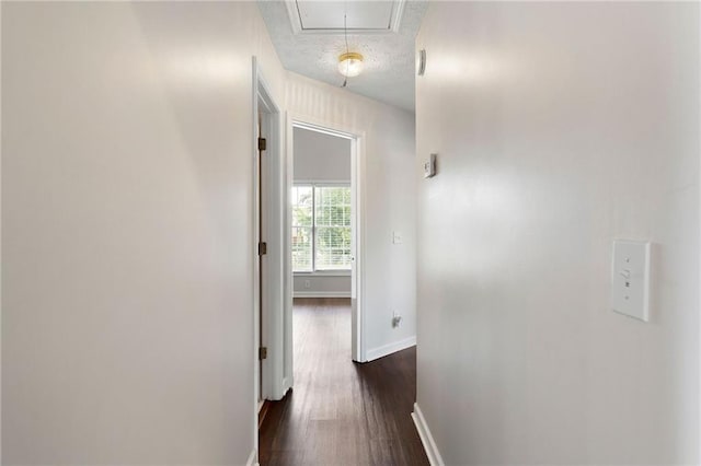 16 Kentucky Walk NE, Cartersville, GA 30121 - hall featuring dark wood-style floors, baseboards, and attic access