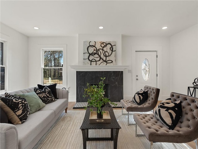 living room featuring a fireplace and light wood-type flooring