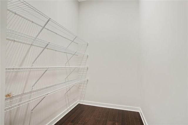 spacious closet featuring dark wood-style flooring