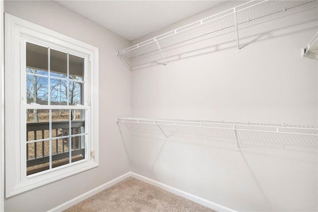 2279 Jerusalem Church Rd, Jasper, GA 30143 - spacious closet with carpet floors