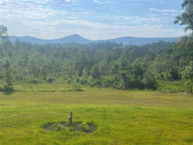 2279 Jerusalem Church Rd, Jasper, GA 30143 - view of mountain feature
