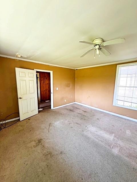 unfurnished room featuring baseboards, a ceiling fan, carpet, and crown molding