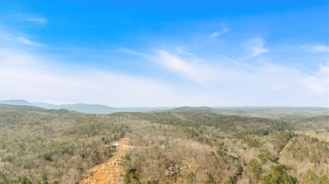 view of mountain feature