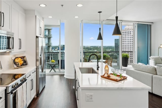 kitchen featuring a sink, open floor plan, dark wood finished floors, stainless steel appliances, and a wall of windows