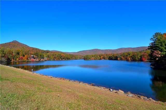 water view featuring a mountain view