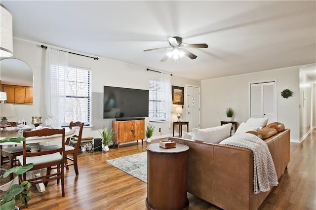 living room with ceiling fan and wood-type flooring