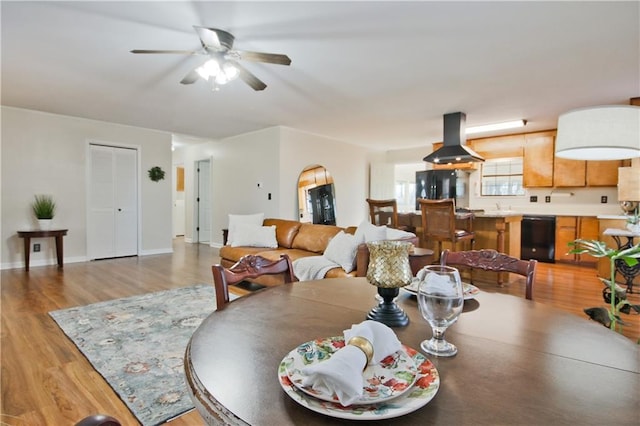 dining room with ceiling fan and light hardwood / wood-style flooring