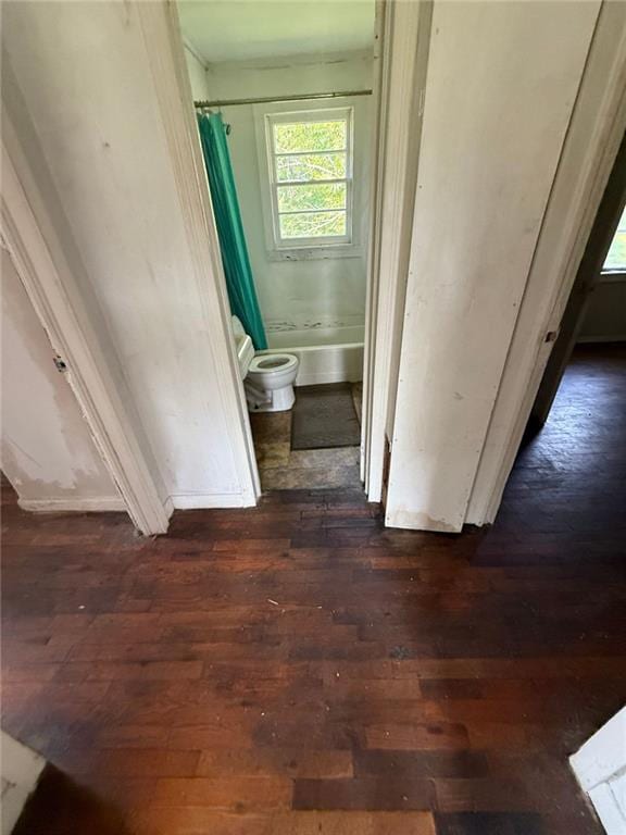 1561 Demorest Mount Airy Hwy, Mount Airy, GA 30563 - bathroom with hardwood / wood-style floors, a shower with shower curtain, and healthy amount of natural light