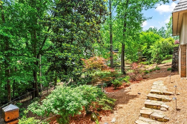 1075 Winding Branch Ln, Atlanta, GA 30338 - view of yard with fence