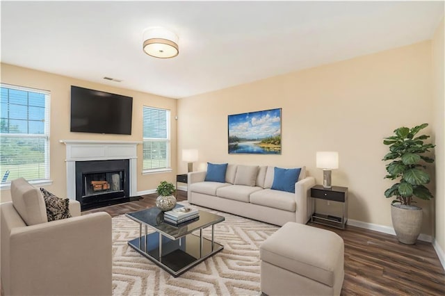 living area with a healthy amount of sunlight, a fireplace, and wood finished floors