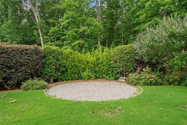 4460 Hunters Walk Way, Cumming, GA 30028 - view of green lawn