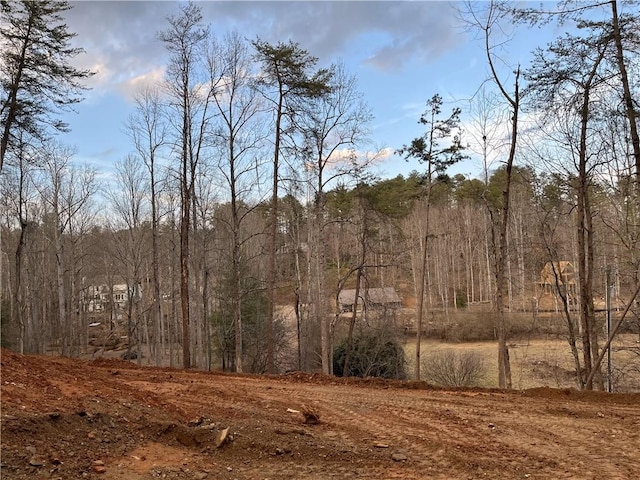 Listing photo 2 for 0 Beaver Ln, Dahlonega GA 30533