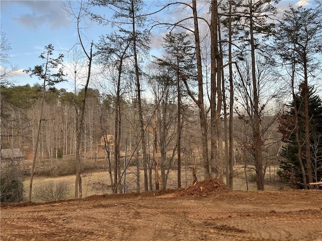 Listing photo 3 for 0 Beaver Ln, Dahlonega GA 30533