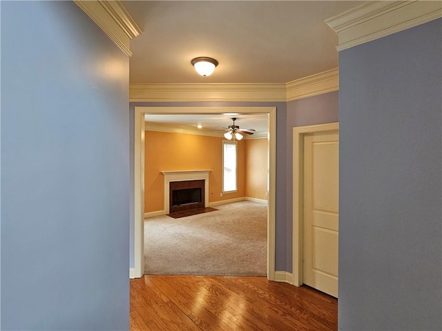 hall with baseboards, crown molding, and wood finished floors