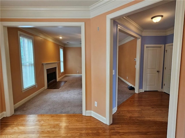 corridor with crown molding, baseboards, and wood finished floors