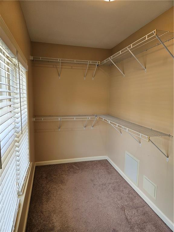 walk in closet featuring carpet