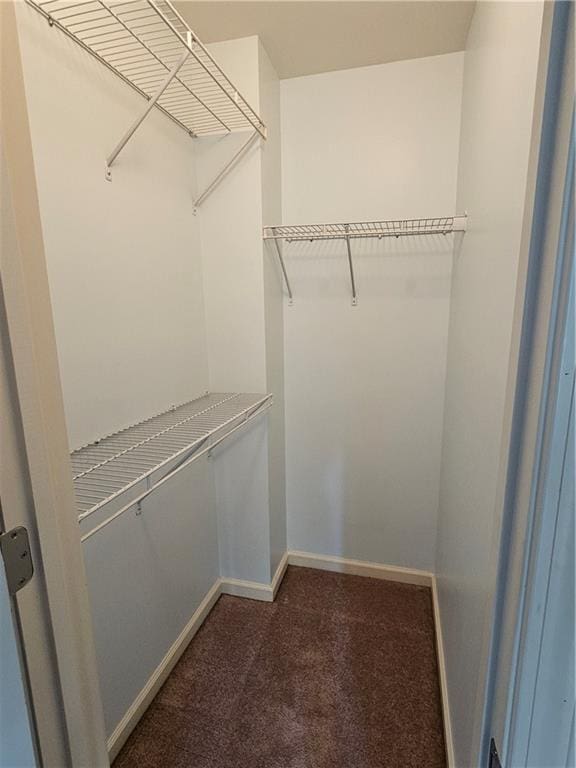 walk in closet with carpet flooring