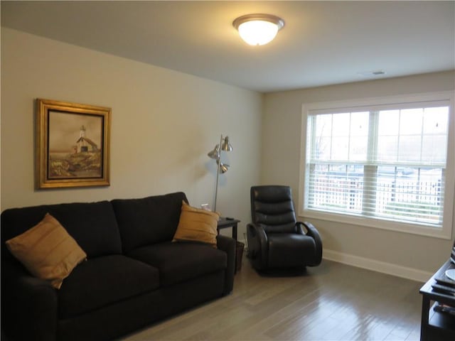 living room featuring hardwood / wood-style flooring