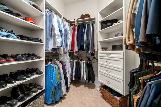 walk in closet featuring light colored carpet
