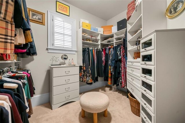 spacious closet with carpet
